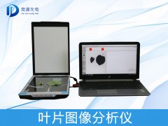  葉片圖像是如何分析的？